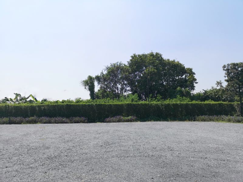 Lot Grading