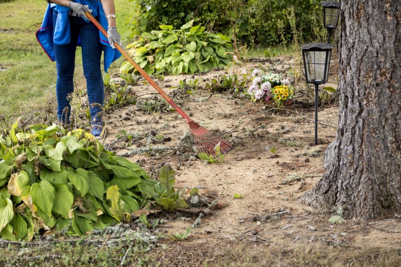 Site Preparation Service in Salt Lake City, UT